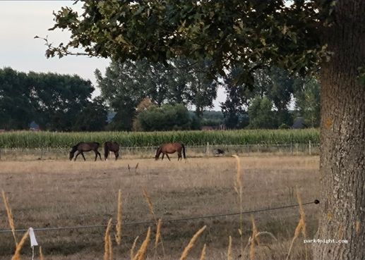 Een foto toegevoegd aan een locatie