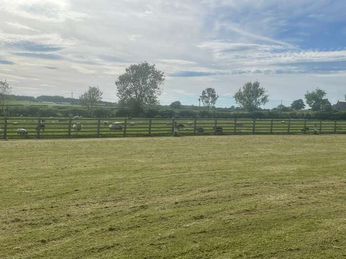 Todd's House Farm Campsite