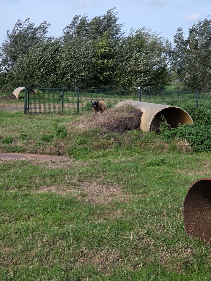 Camping Oukoop 46