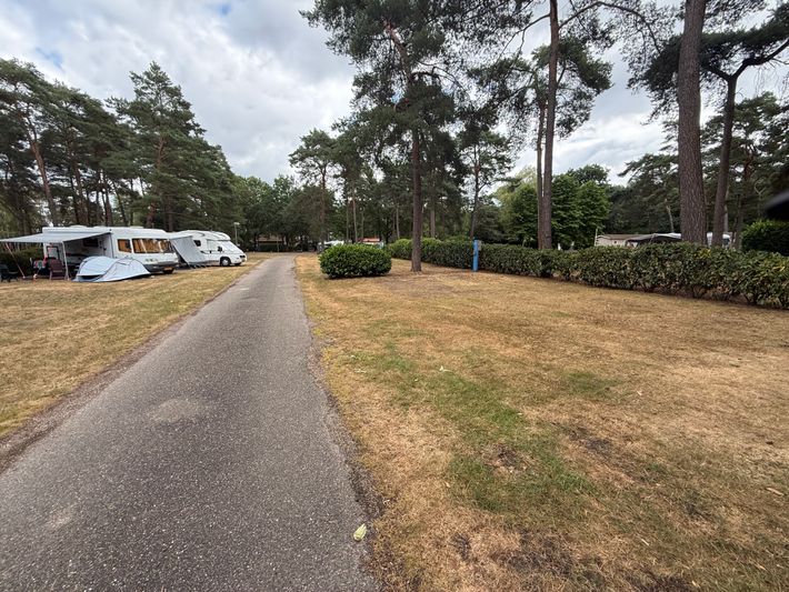 Molenheide