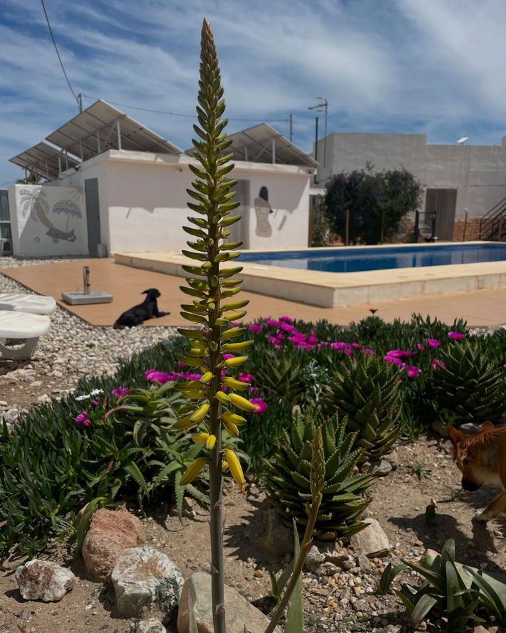 Casa-Lumbreras