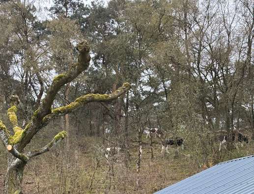 Added a photo to a location
