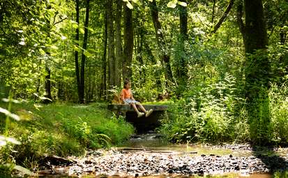 Camping Onlycamp Le Petit Bois