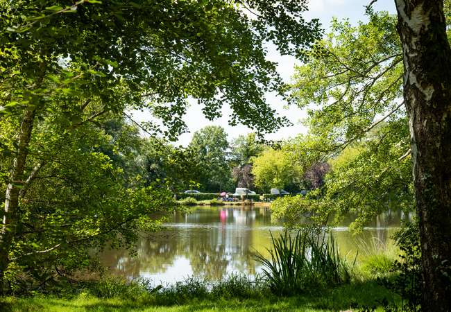 Camping Onlycamp Le Petit Bois