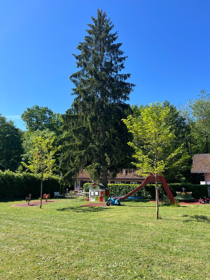 Camping des Hêtres, Bendorf