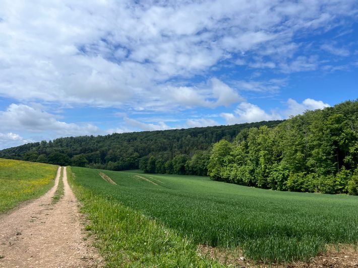 Camping des Hêtres, Bendorf