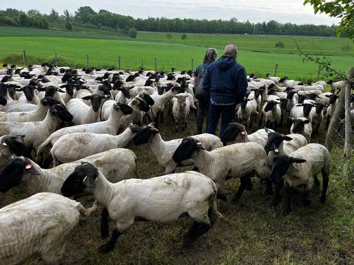 Een foto toegevoegd aan een locatie