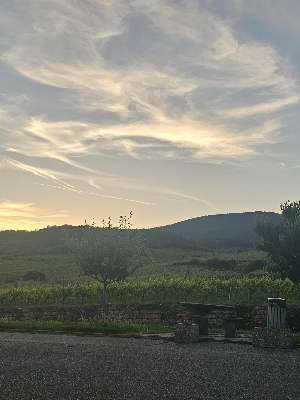 Aggiunta una foto a una posizione