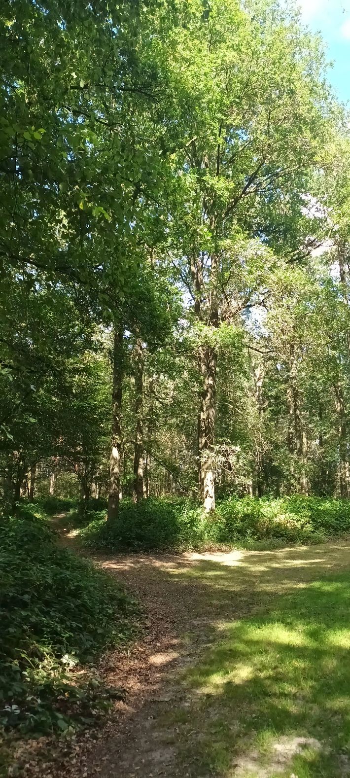 Camperplaats Bij Frans