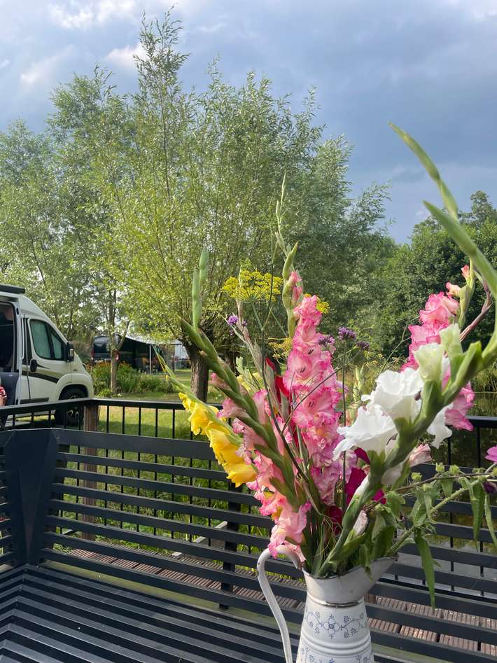 Camperplaats ‘t Weidsewold 