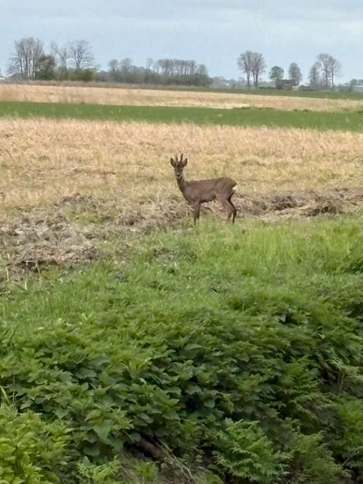 Een foto toegevoegd aan een locatie