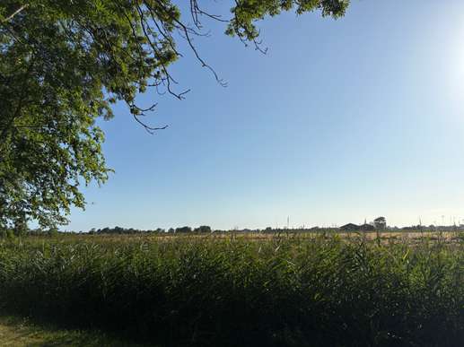 Een foto toegevoegd aan een locatie