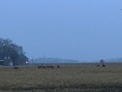 Een foto toegevoegd aan een locatie