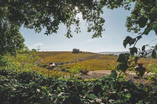 Quinta do Olival da Murta