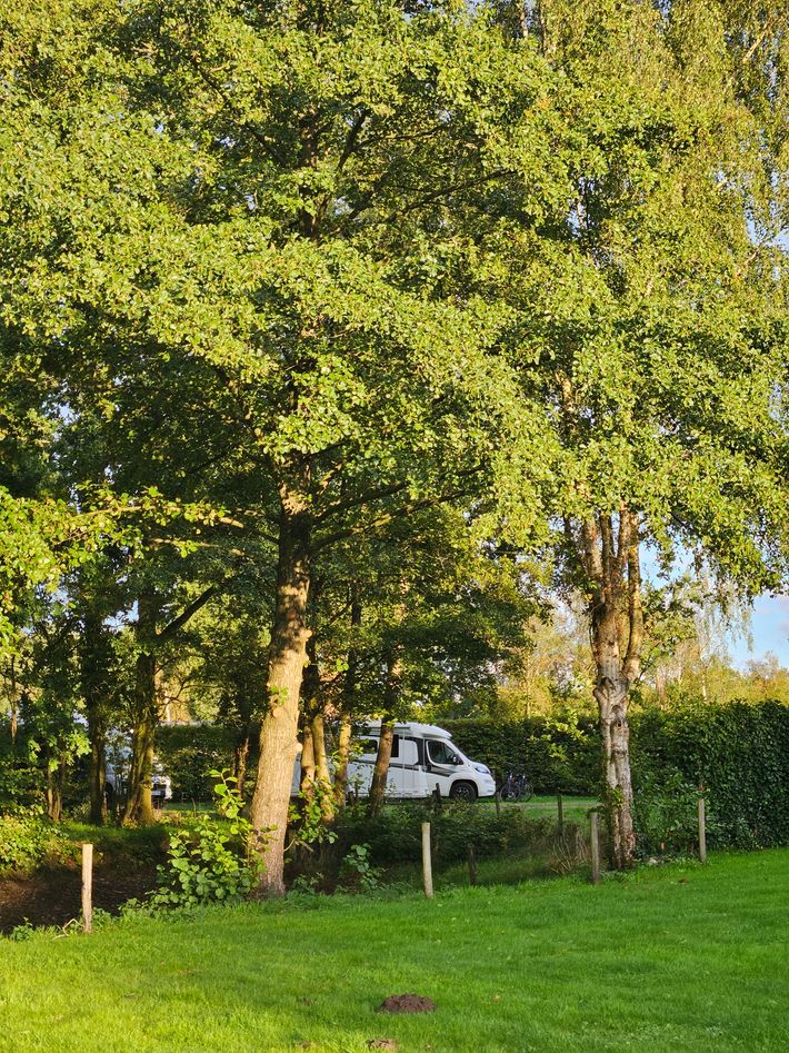 Camperlocatie Lonneker Es