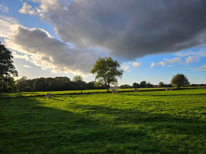 Camperlocatie Lonneker Es