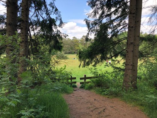 Added a photo to a location