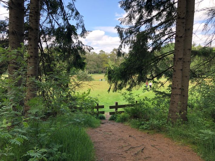 Natuurkampeerterrein de Groene Hen