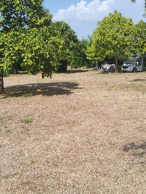 Camping des Acacias