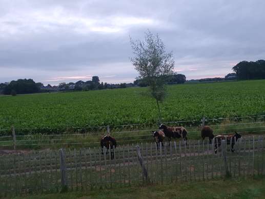 Een foto toegevoegd aan een locatie