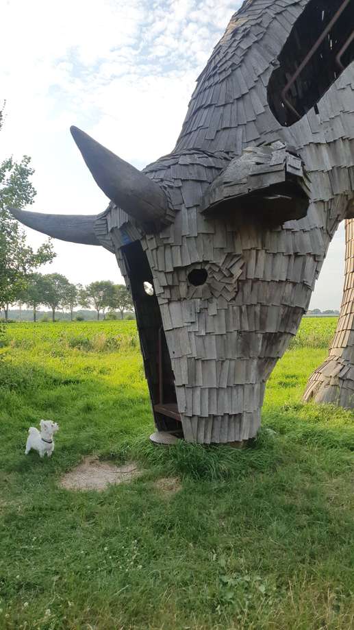 Een foto toegevoegd aan een locatie