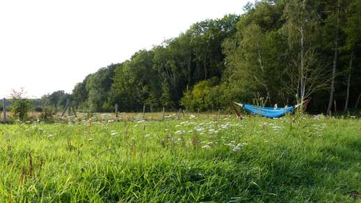 Added a photo to a location