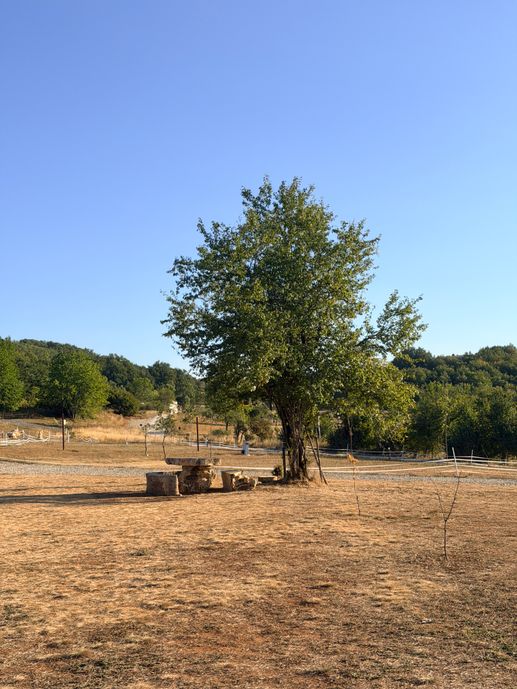 Added a photo to a location