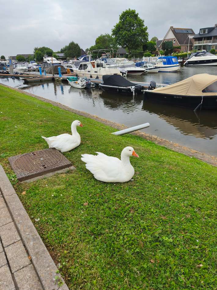 Jachthaven Crezée