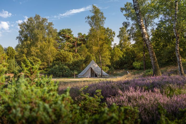 Landgoedcamping Het Meuleman