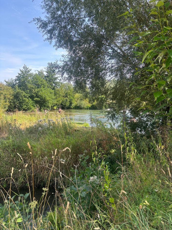 Aire du moulin d'Erloy