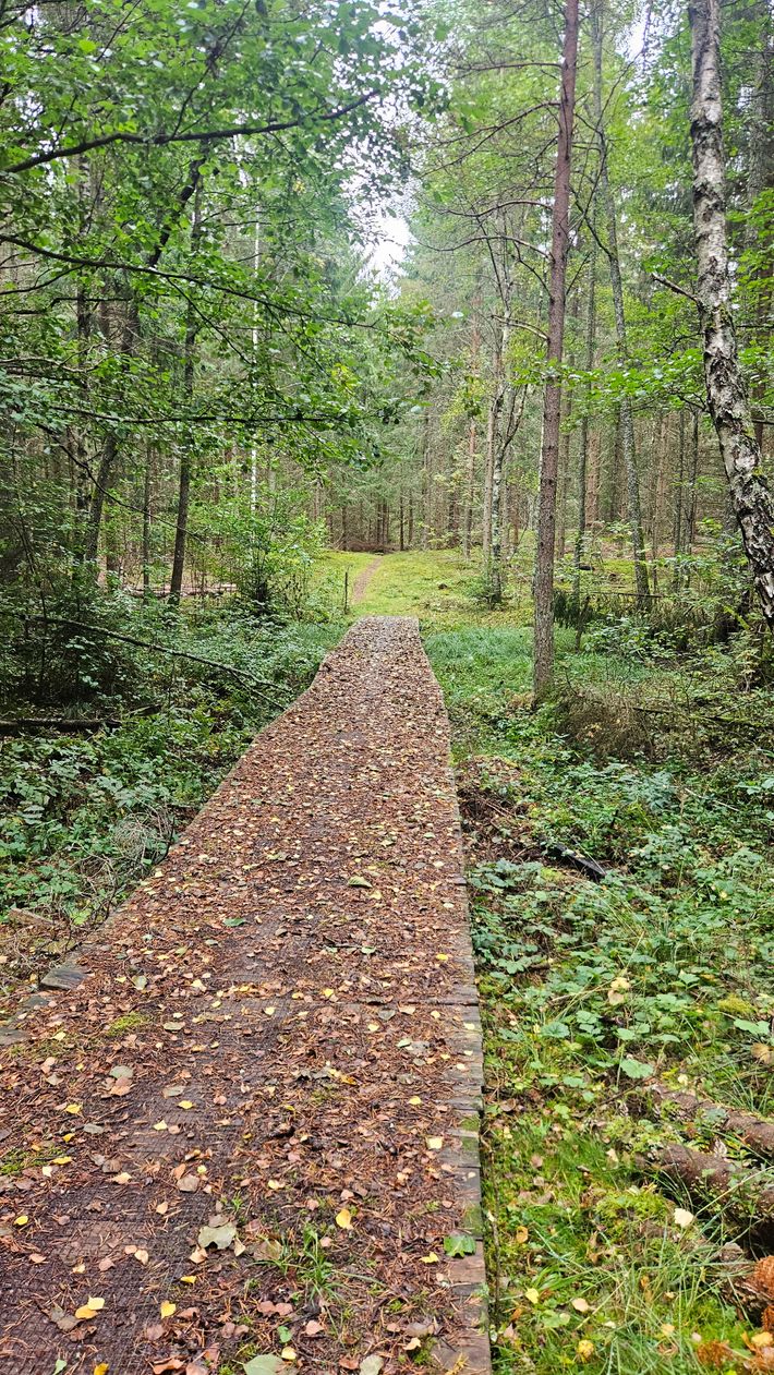 Visjö Badplats