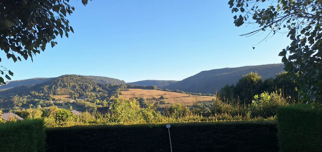 Le Panoramique