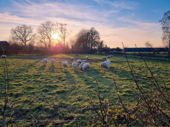 Camperplaats het Karrewiel