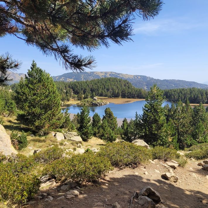 Camping Le Petit Canada
