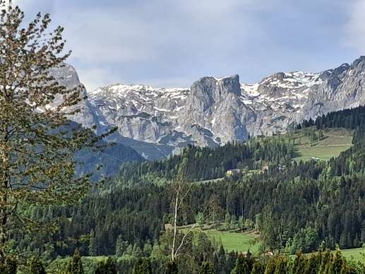 Added a photo to a location