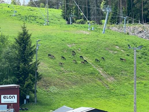 Einem Ort wurde ein Foto hinzugefügt