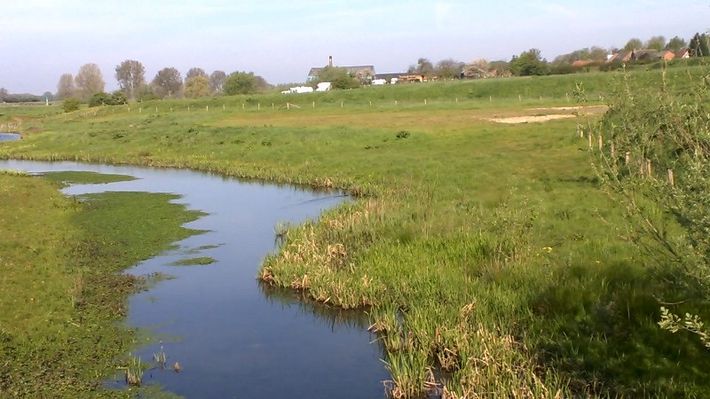 Camping de Bloemenkamp