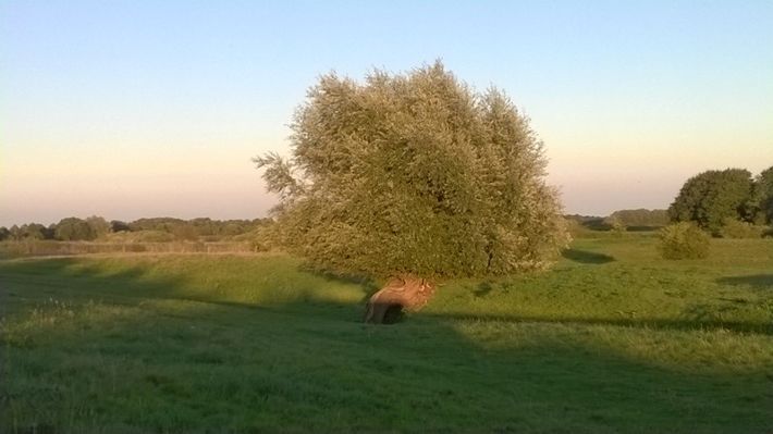 Camping de Bloemenkamp