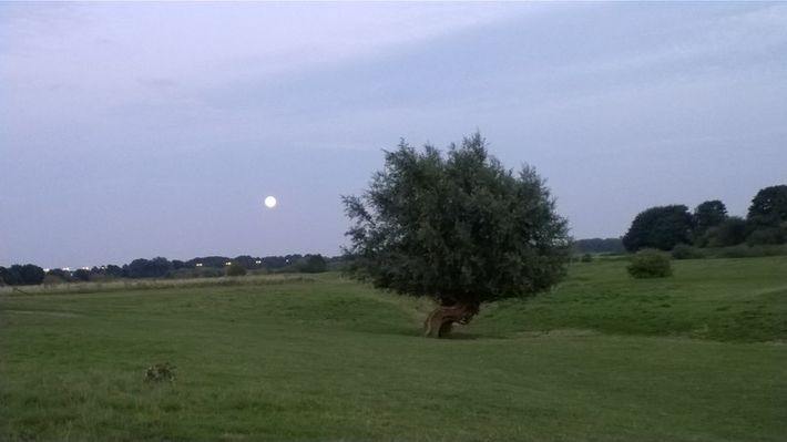 Camping de Bloemenkamp