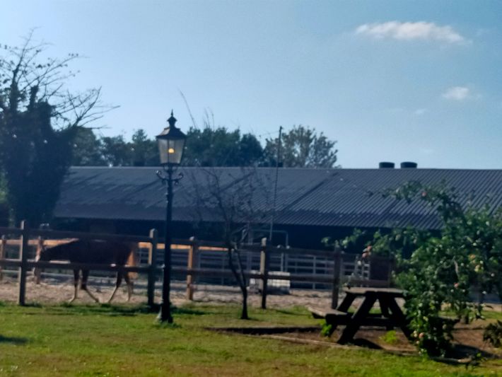 Chili-Hoeve B&B en Camperplaats