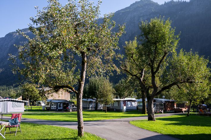 Camping Walch