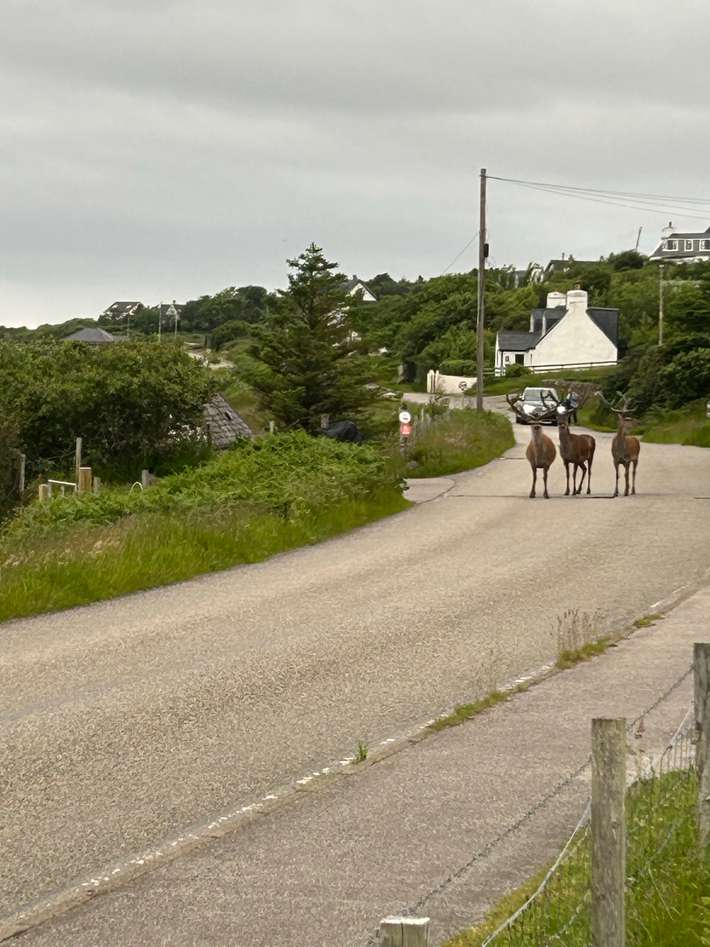 Camping Gairloch Holiday Park