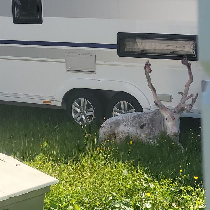Camping Åkersjön