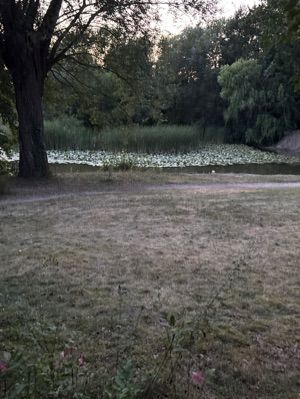 Campingplatz Forsthaus