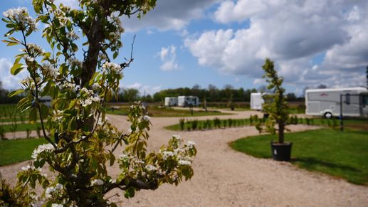 Camperpark de Bloesem