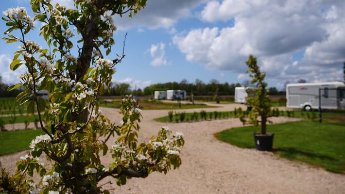 Camperpark de Bloesem
