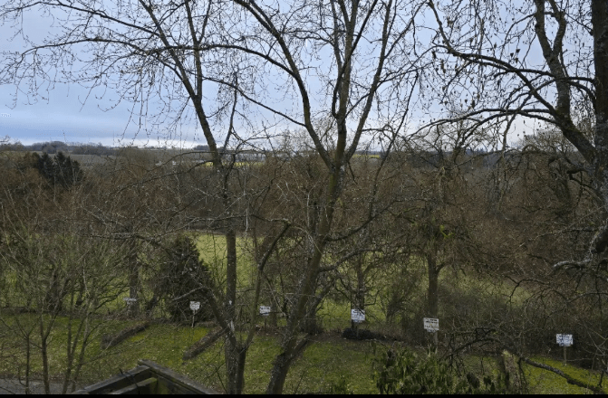 Camperplaats Bergschlößchen