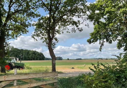 Een foto toegevoegd aan een locatie