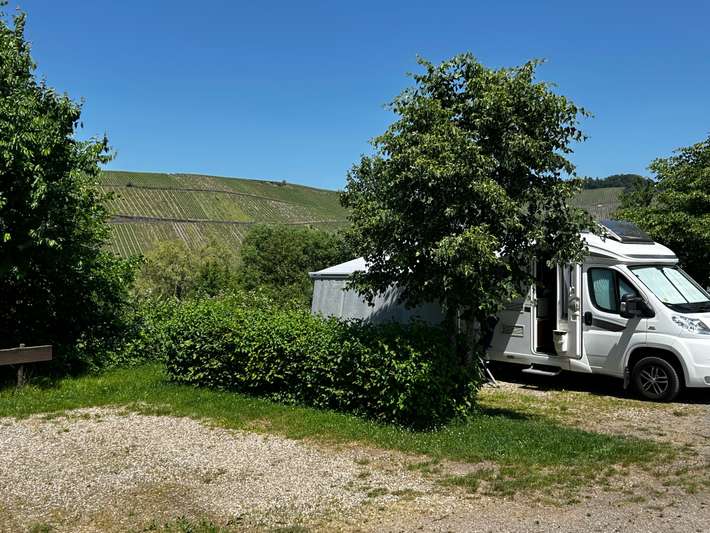 Wohnmobilplatz Brauneberger Juffer