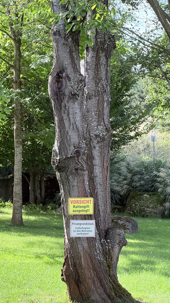 Wohnmobilplatz Brauneberger Juffer